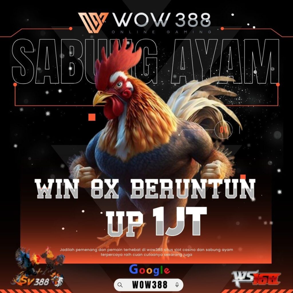 sabung ayam online, sabung ayam online sv388 live